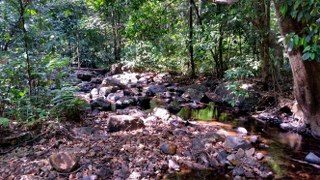 A beautiful stream