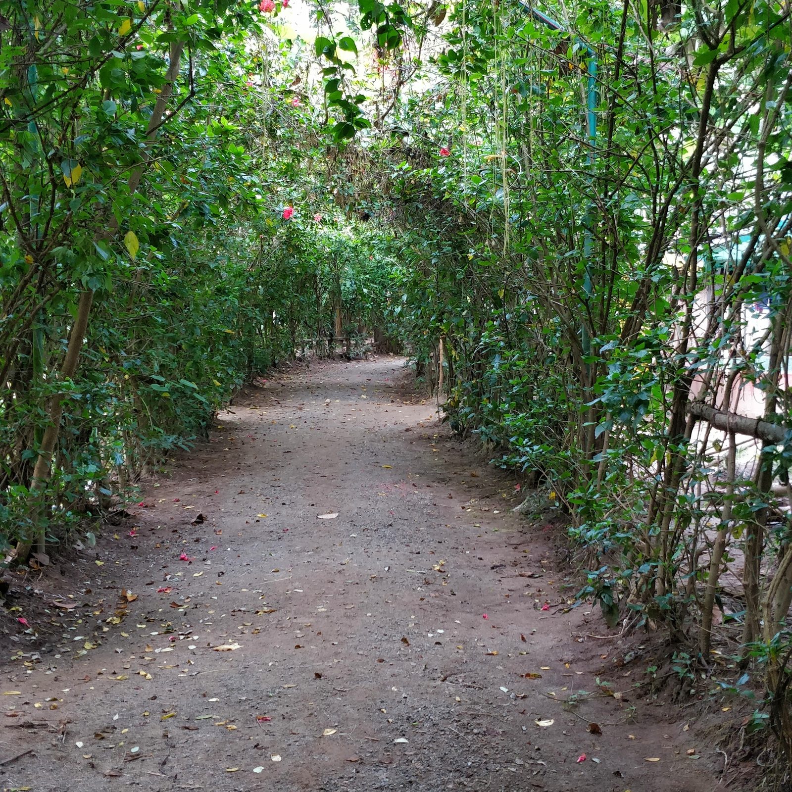 The entrance